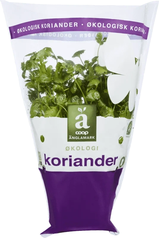 Änglamark Krydderurt 8cm Koriander