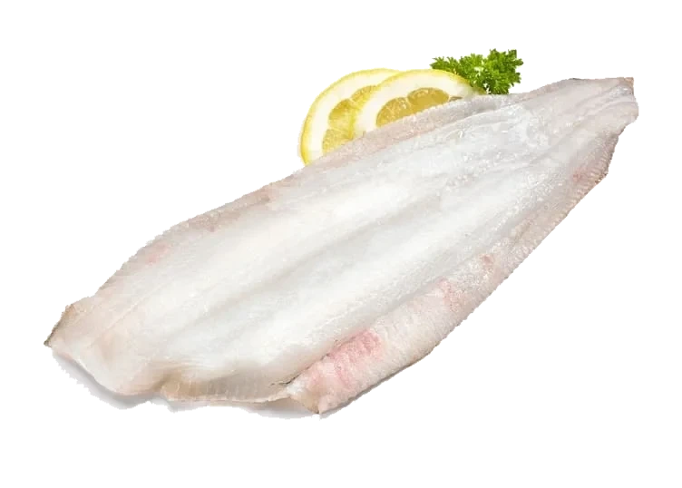 Smørflyndre Filet Vill pr Kg
