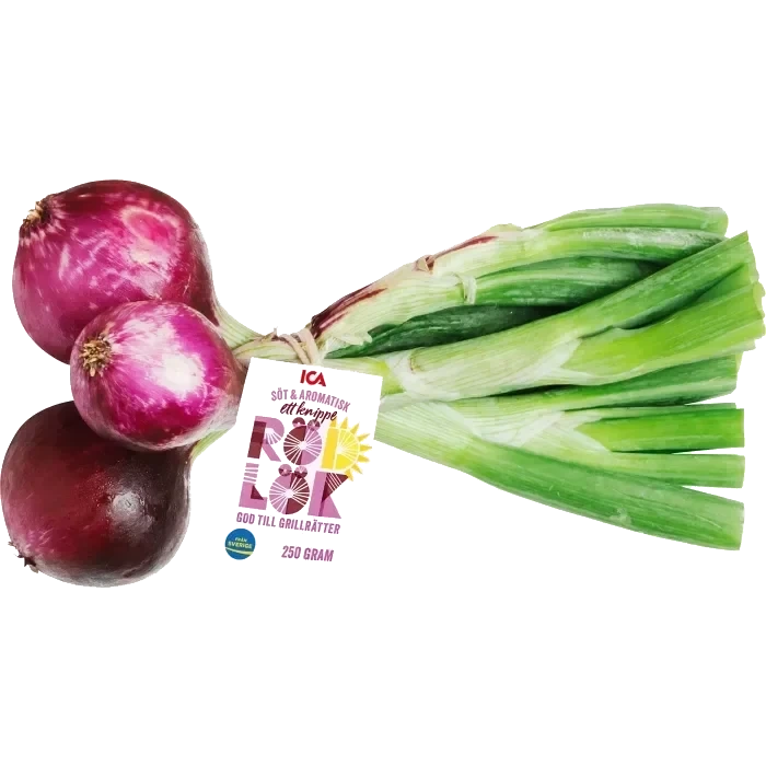 Lök röd knippe Klass 1