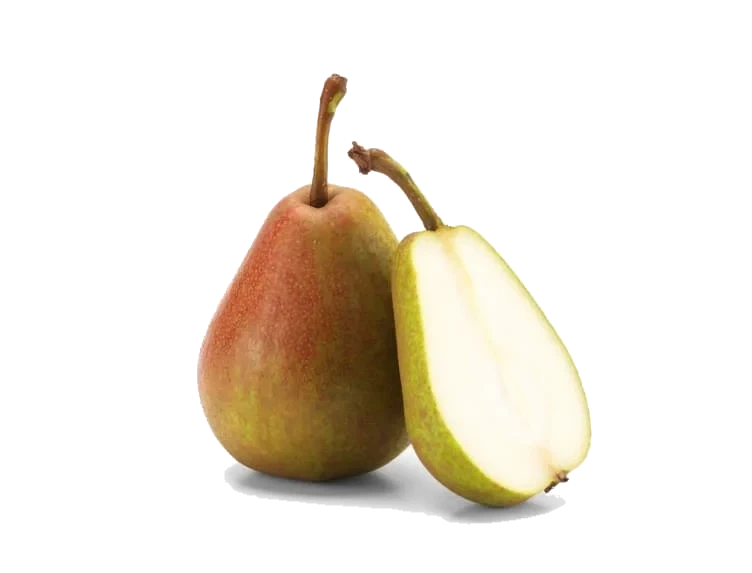 Norske Pærer