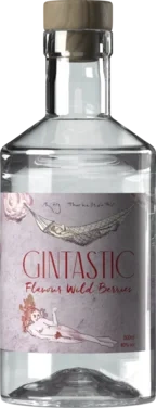 Gintastic 0,5l