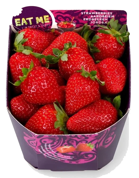 Jordbær 500g Import