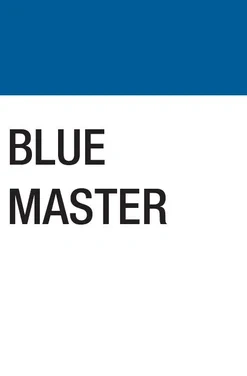 Blue Master Filter 20