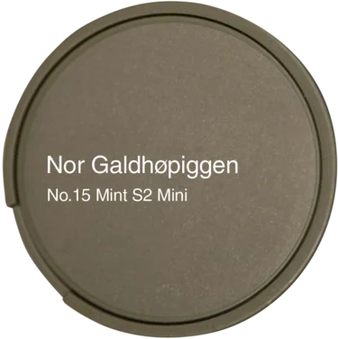 Nor No.15 Galdhøpiggen Mint Mini S2