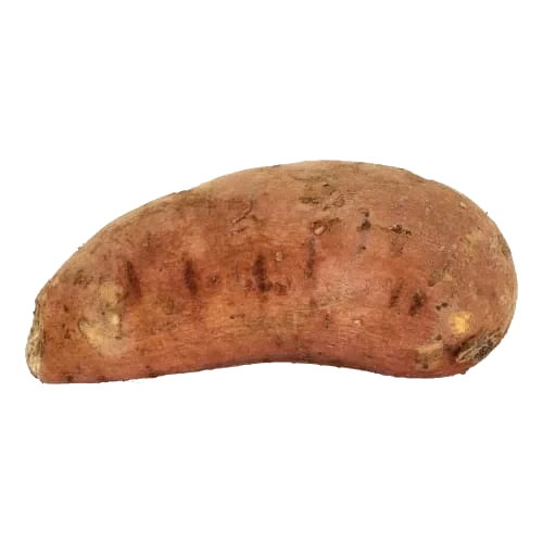 Sötpotatis Klass 1