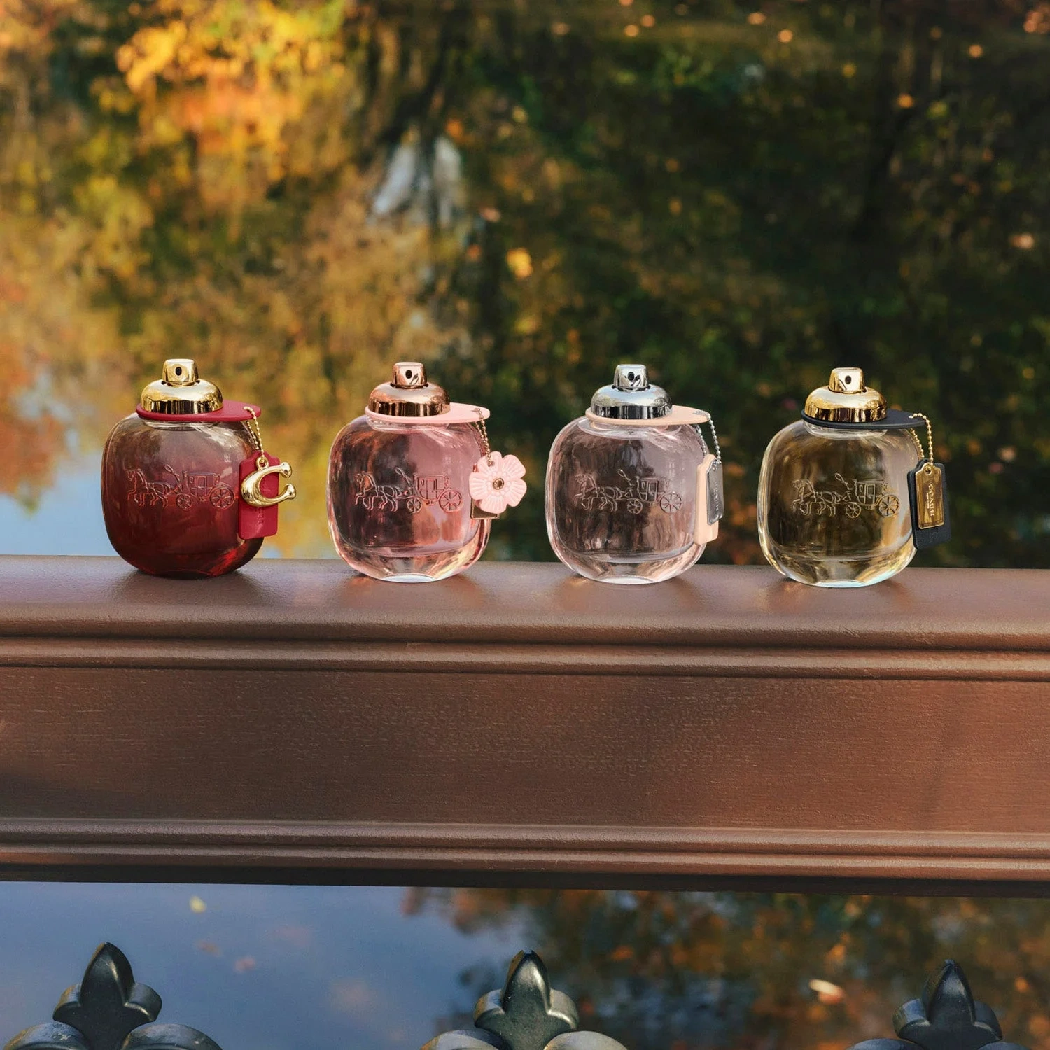 Coach Wild Rose Eau de Parfum 50 ml