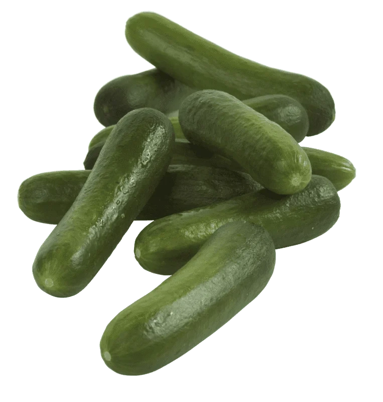 Sommermix Snackagurk