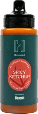 Hanasand Spicy Ketchup