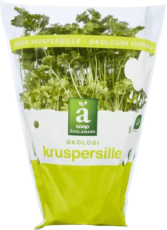 Änglamark Krydderurt Kruspersille 12cm