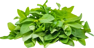Herb Mint 80g So Fresh