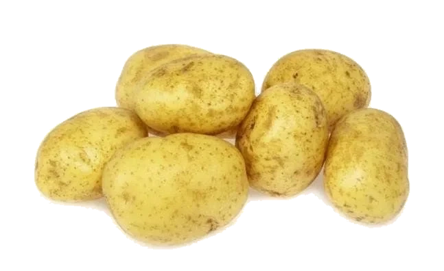 Økologiske Poteter Vasket Colomba
