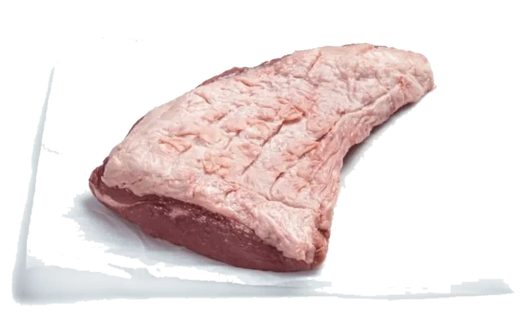 Angus tri tip filet