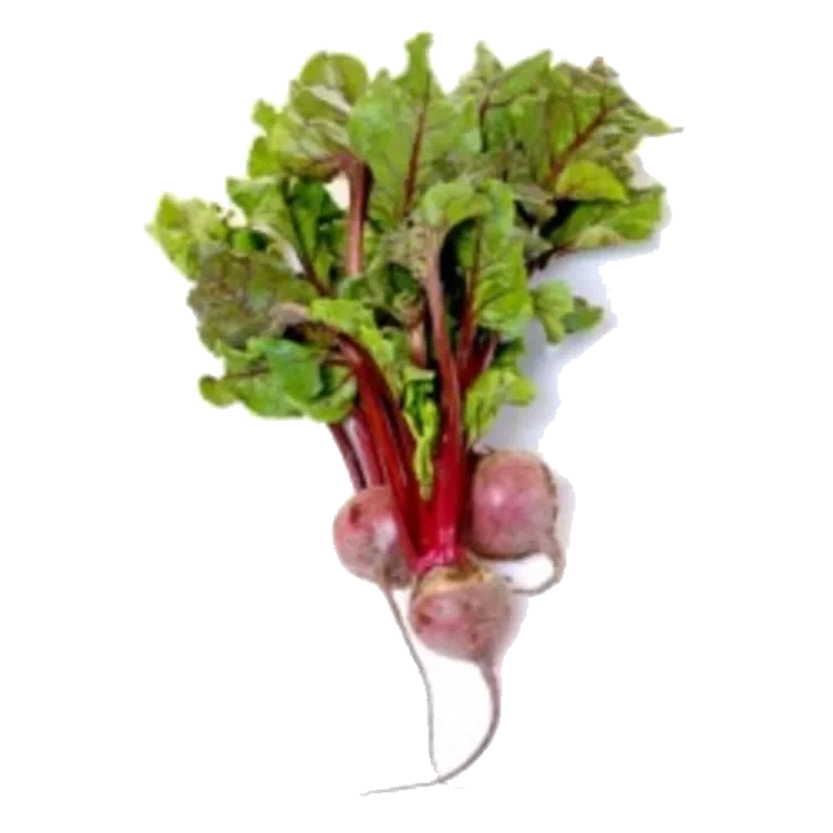 Rødbeter Bunt