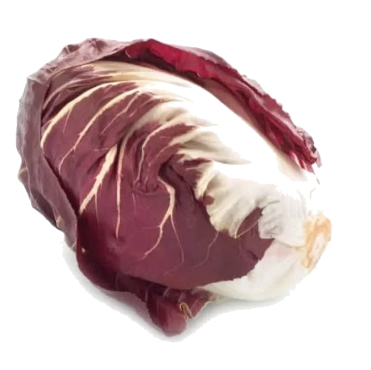 Radiccio Rosso Stk