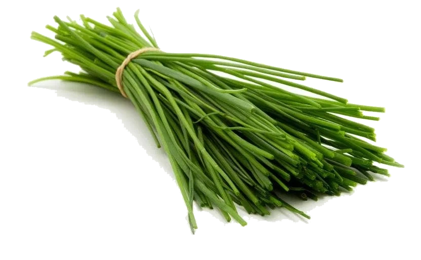 Fersk Gressløk