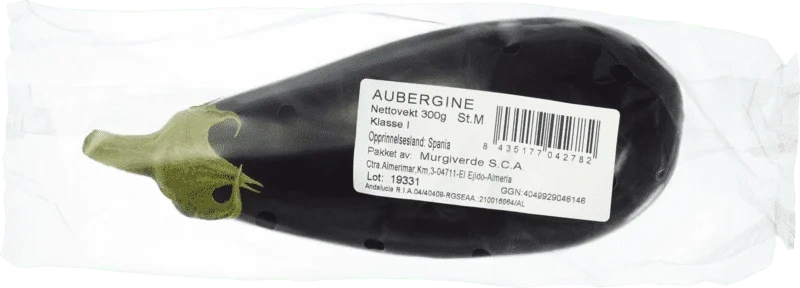 Aubergin
