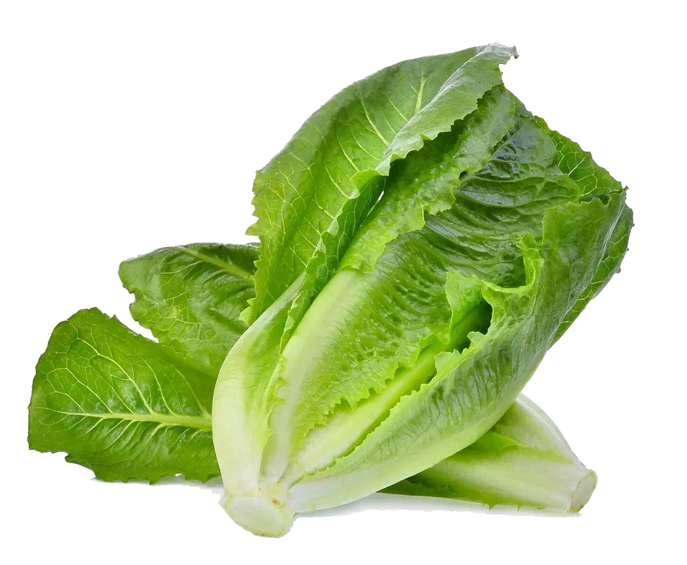 Stor hjertesalat