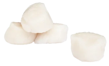 Kamskjell 10/20 20% Glaze, 1kg