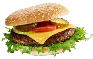 Halal Hamburger 130 Gr Slåtto