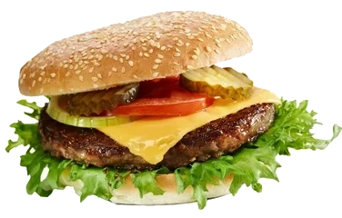 Halal Hamburger 130 Gr Slåtto