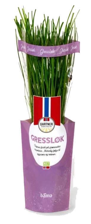 Gressløk 6,5cm Potte Gartner
