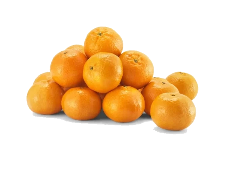 Klementiner Kg