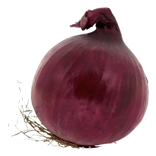 Lök Röd Klass 1