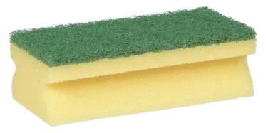 Skrubbesvamp Grønn
