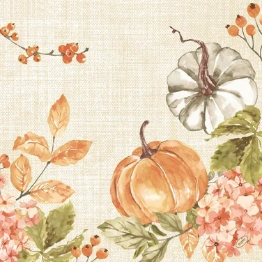 Serviett Biodunisoft 40cm Spicy Pumpkin