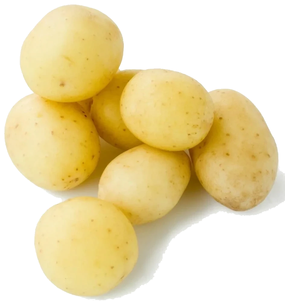 Norske poteter