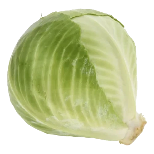 Vitkål Import Klass 1