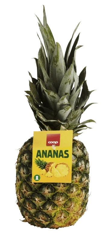Ananas