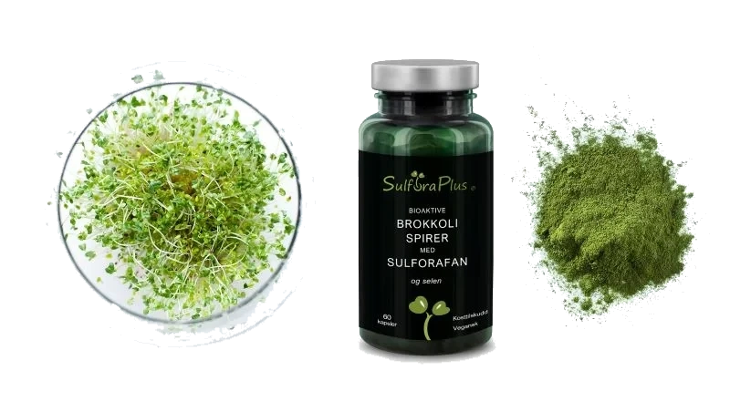 Bioaktive Brokkolispirer med sulforafan og selen