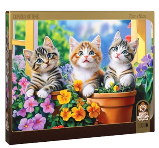 Curious Kittens