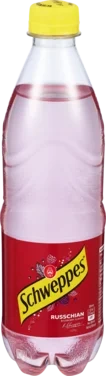 Russchian 0,5l flaske Schweppes