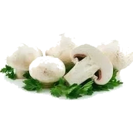 Champignon Skiver 835g Kjøkkensjefens