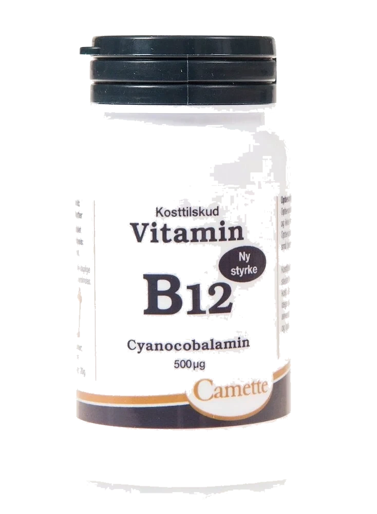 Camette Vitamin B12 Cyanocobalamin 500 µg