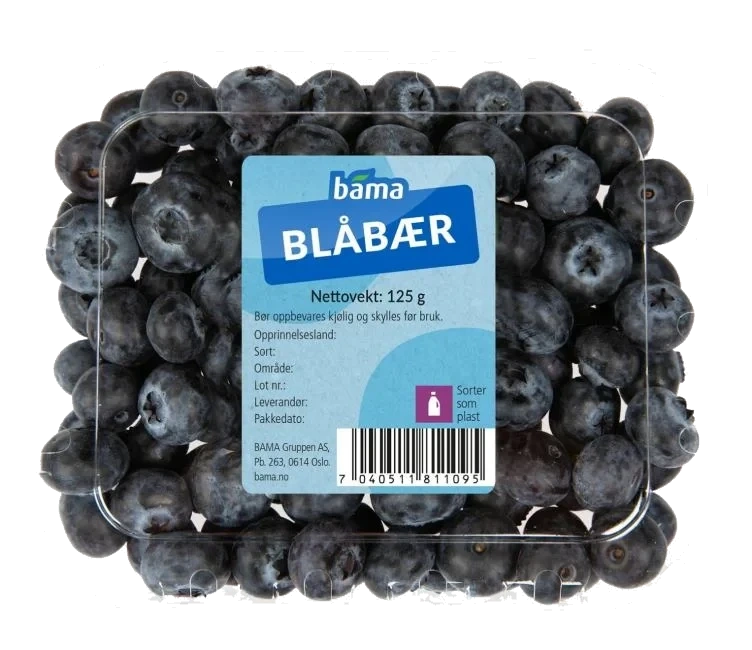 Blåbær 125g Beger