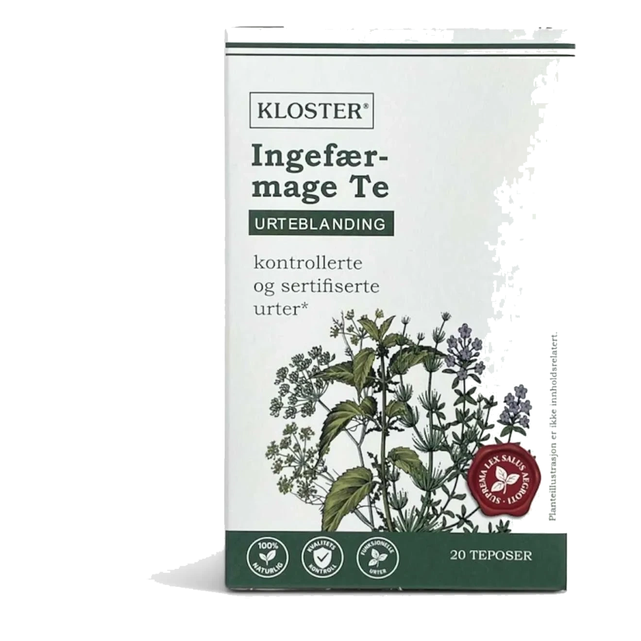 Kloster Ingefær mage te