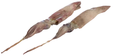 Californian Squid Rå, Hel, Frys