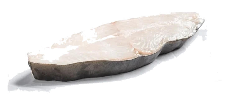 Kveite skiver Sterling Oppdrett 1-3kg