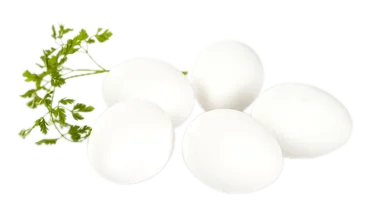 Egg Mlxl 30stk Økologiske 15,2kg