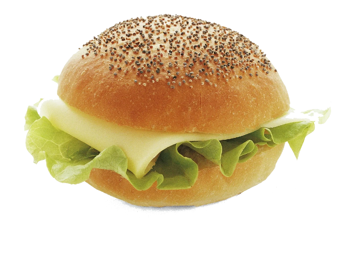 Rosenbröd vallmofrö