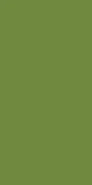 Serviett 3l33cm 1/8 Br Leaf Green