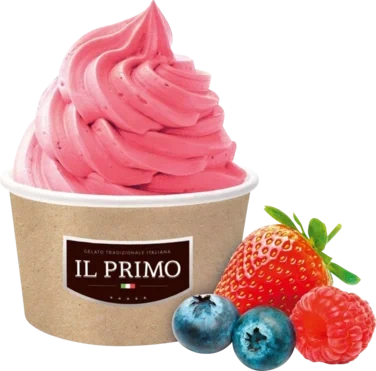 Frozen Yoghurt Skogsbær 18 stk A 100g One Shot