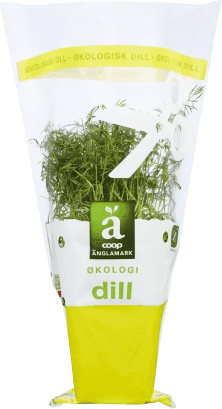 Änglamark Krydderurt 8cm Dill
