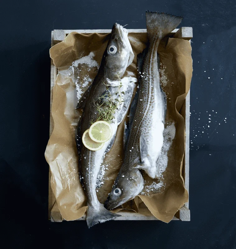 Skrei