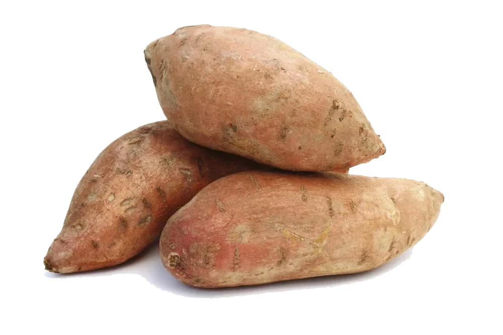 Økologisk Søtpotet