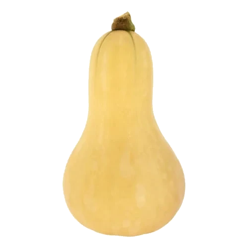 Pumpa Butternut