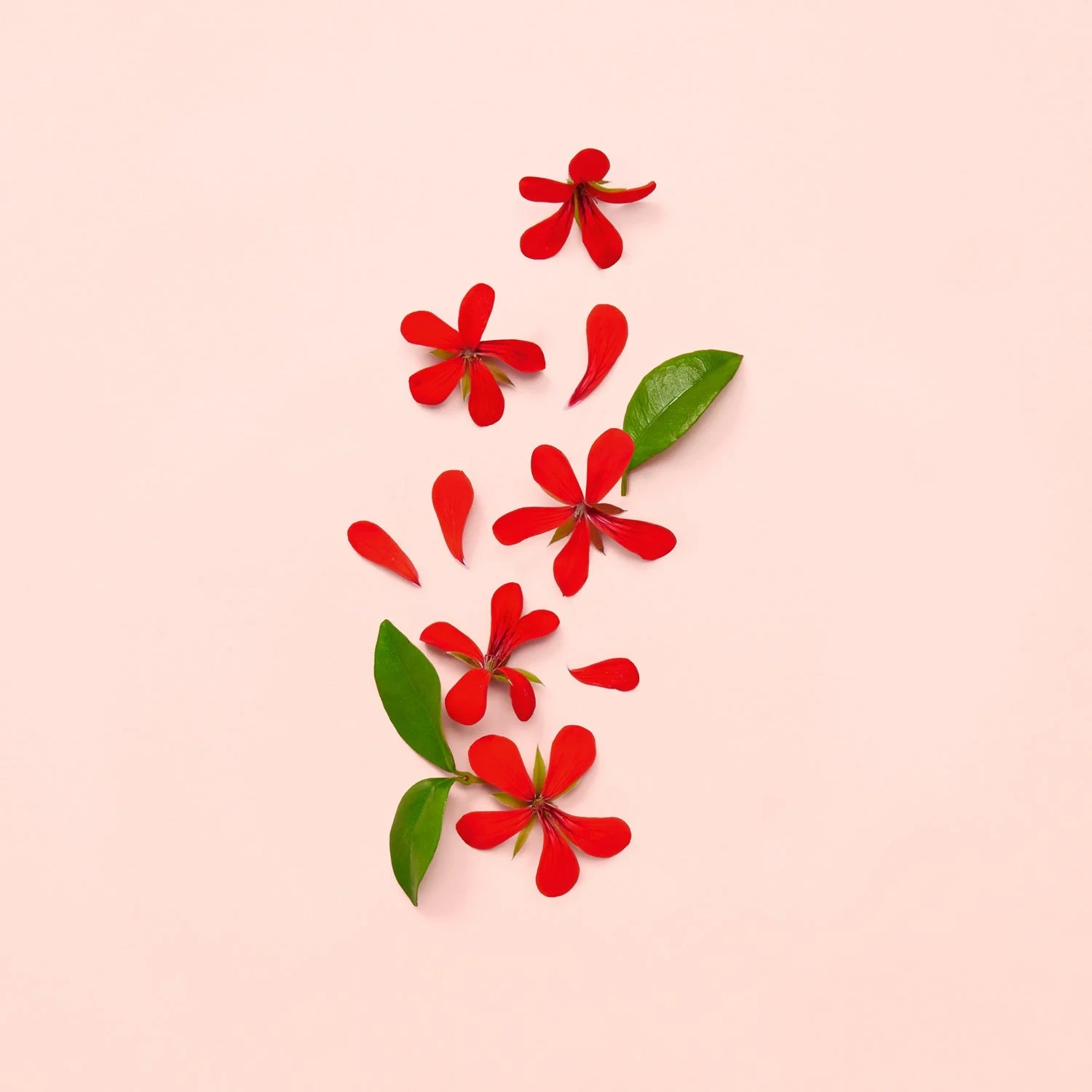 Gucci Bloom